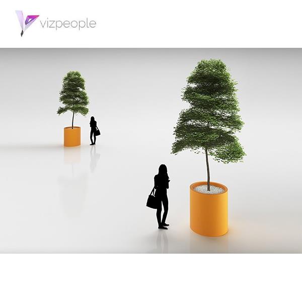 مدل سه بعدی درخت - دانلود مدل سه بعدی درخت - آبجکت سه بعدی درخت - دانلود مدل سه بعدی fbx - دانلود مدل سه بعدی obj -Tree 3d model free download  - Tree 3d Object - Tree OBJ 3d models - Tree FBX 3d Models - 